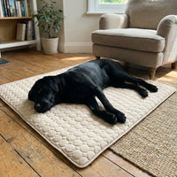 Morrow & Field Cooling Dog Mat