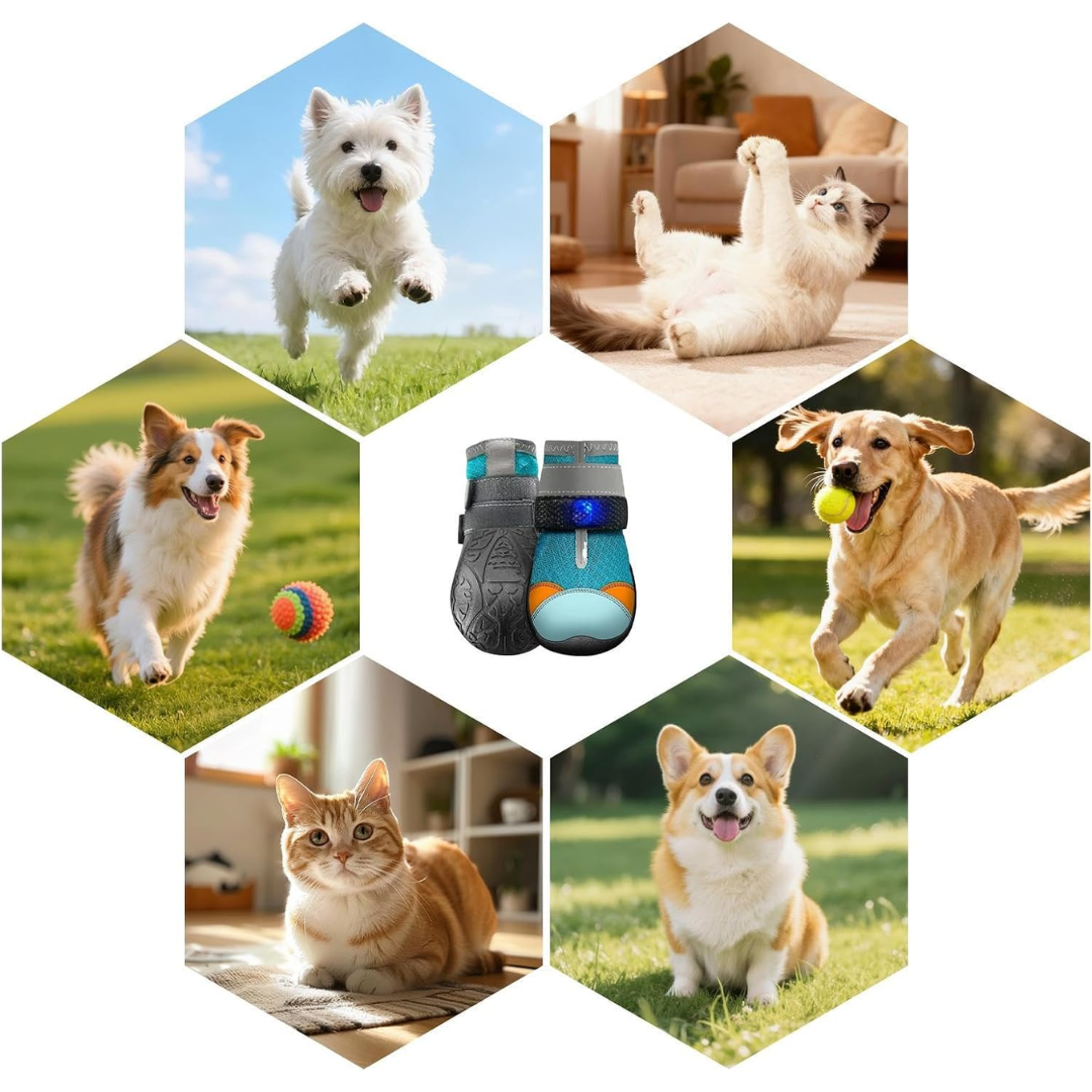 LumaPaws LED Safety Boots for Dogs