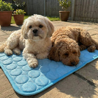 Morrow & Field Cooling Dog Mat