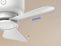 Rechargeable Ceiling Fan with LED Light