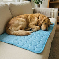 Morrow & Field Cooling Dog Mat