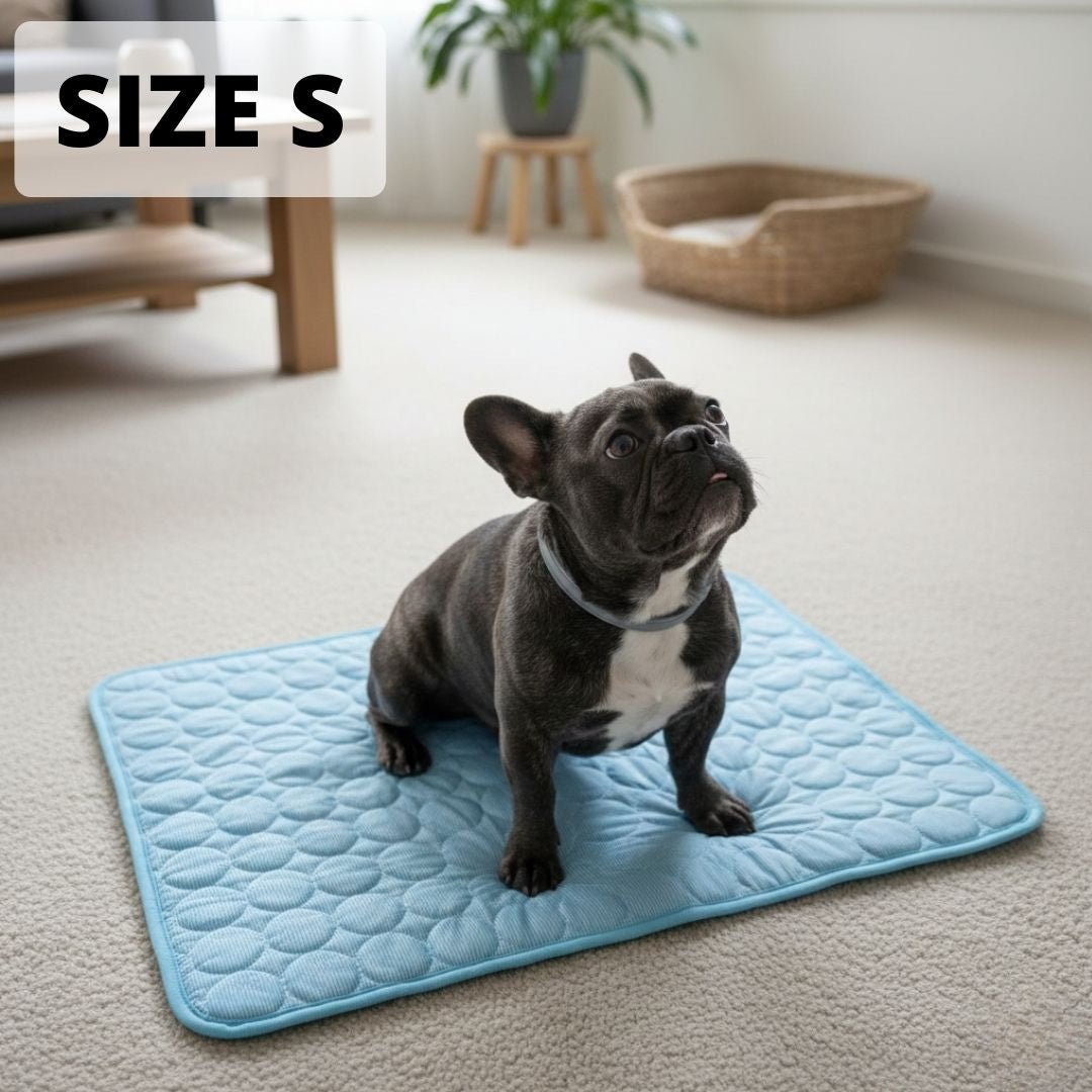 Morrow & Field Cooling Dog Mat