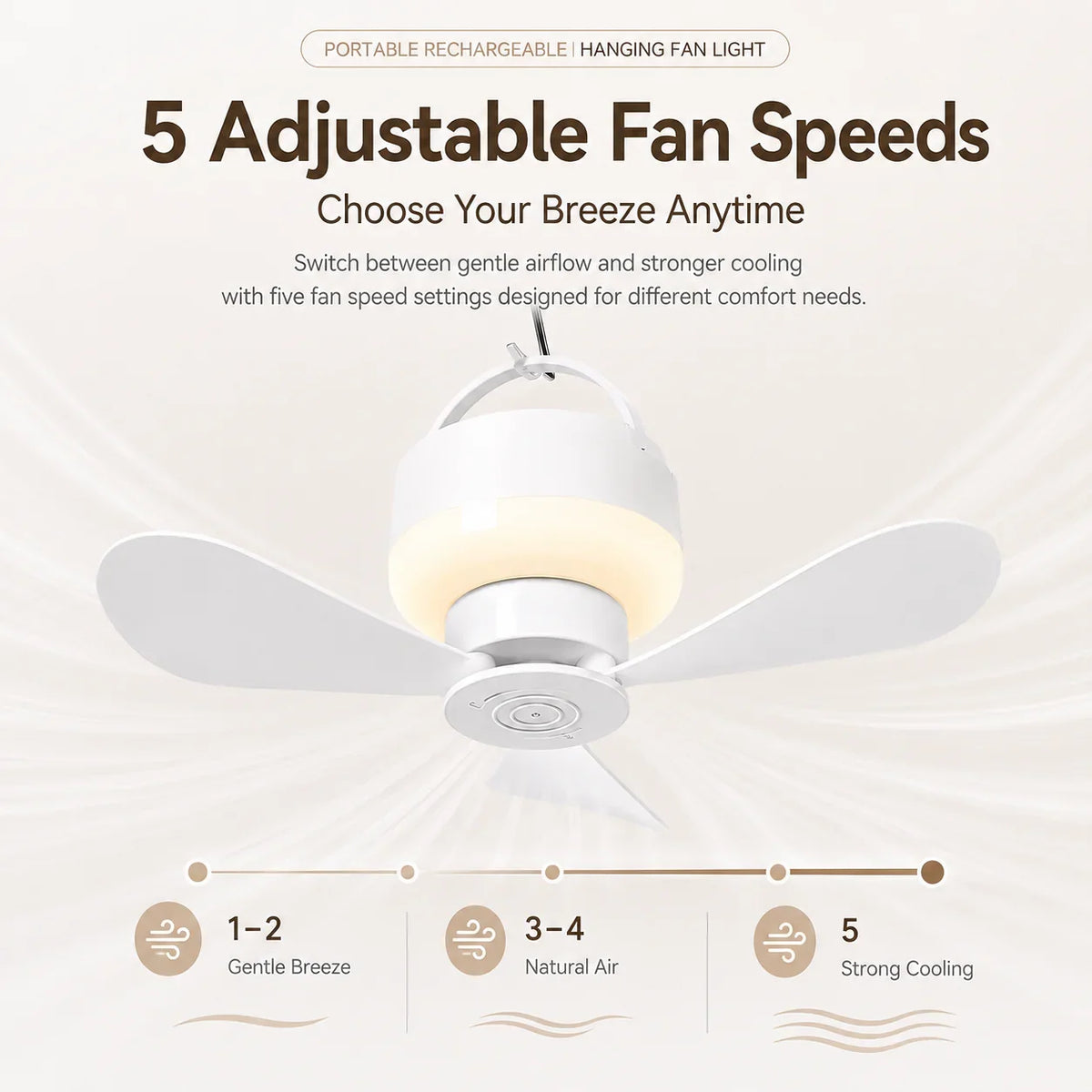 Rechargeable Ceiling Fan with LED Light