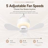 Rechargeable Ceiling Fan with LED Light