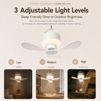 Rechargeable Ceiling Fan with LED Light